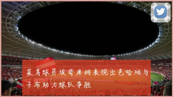 菜鸟球员埃奇库姆表现出色哈珀与卡布助力球队争胜